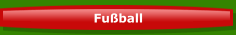 Fu&szlig;ball