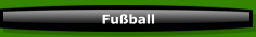 Fu&szlig;ball